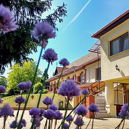 Guest house Villa Teleki 3*