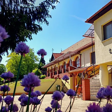 Villa Teleki Guest house