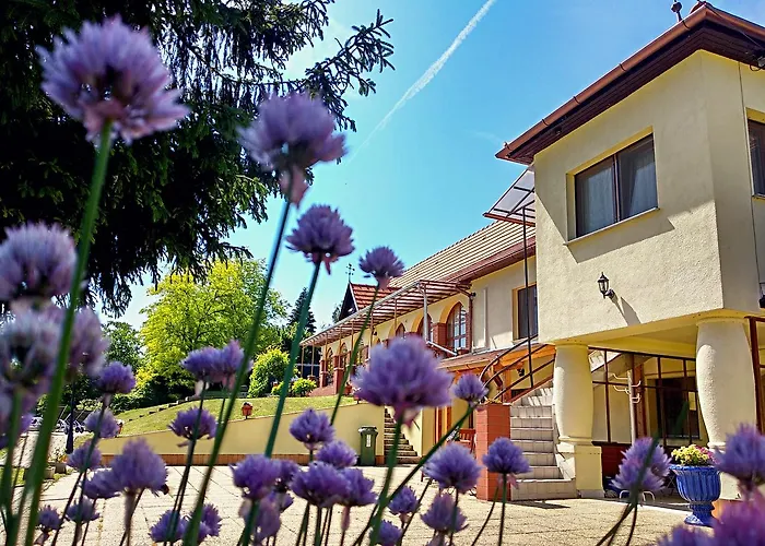 Pensiune Villa Teleki 3*