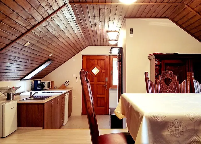 Pensiune Villa Teleki